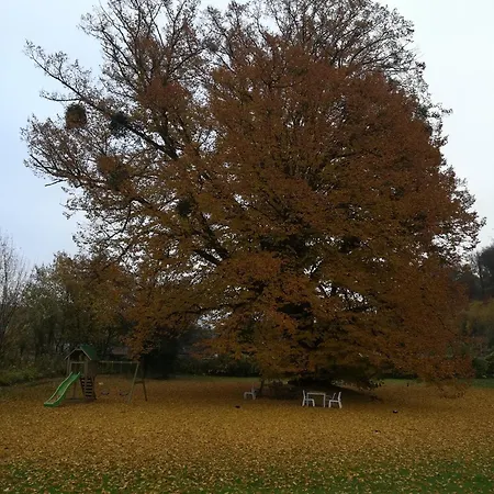 Manoir De Le Valasse Gruchet-le-Valasse